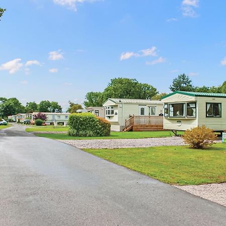 Parc Farm Holiday Park 莫尔德 外观 照片